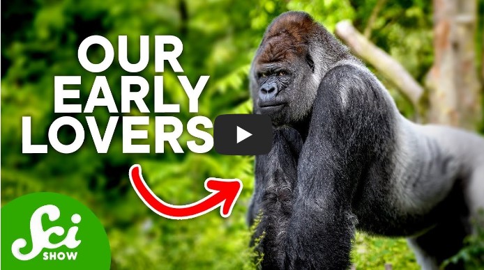 교육/지식 유튜버 TOP 10 6