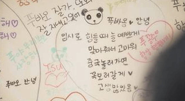 안녕 푸바오 마지막 방송 동물농장 실시간 다시보기