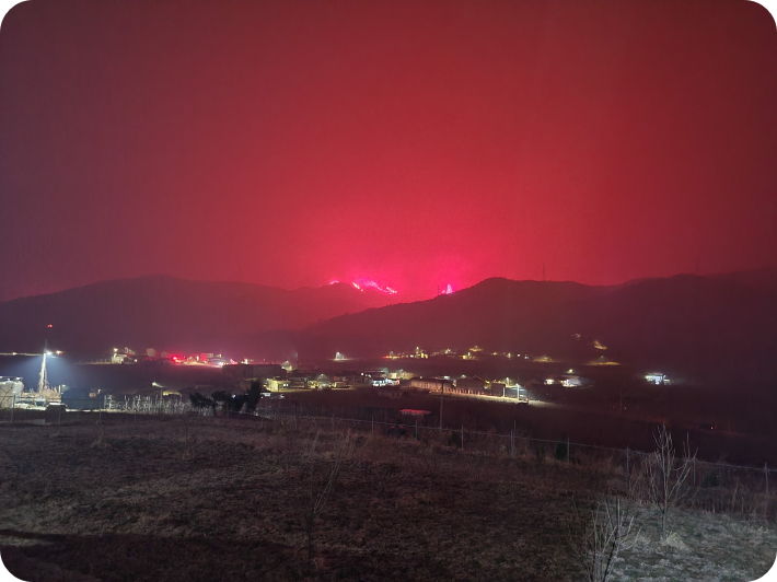 &amp;lt;경북 안동 산불&amp;gt;