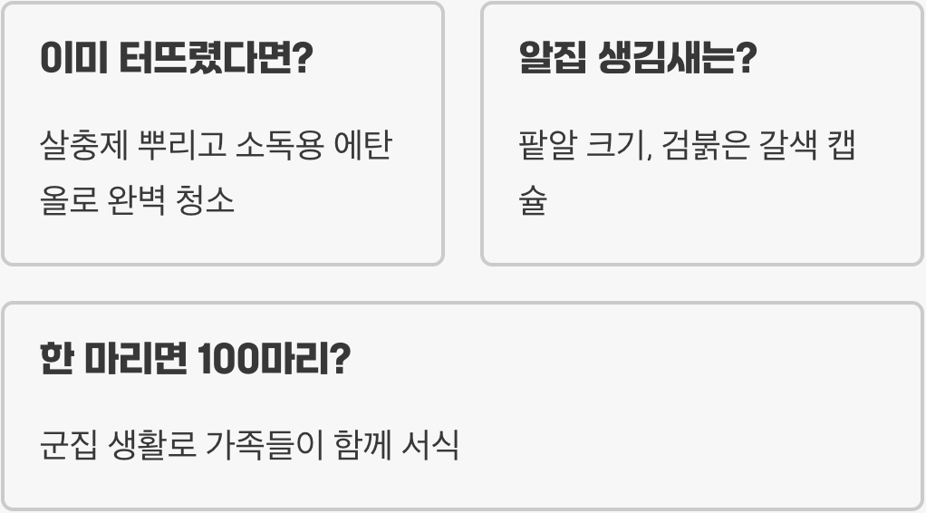 집바퀴 잡을 때 절대 터뜨리면 안 되는 이유 (알 확산의 진실)