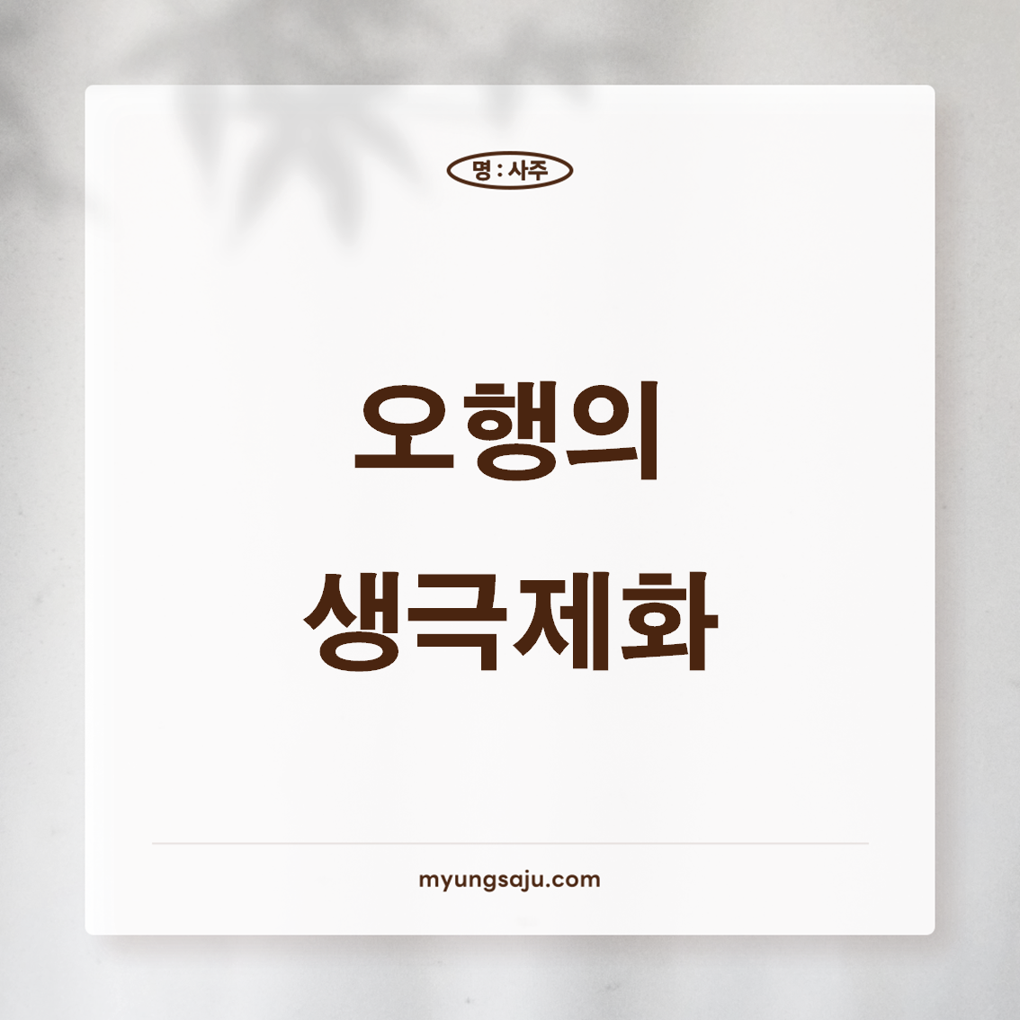 오행의 생극제화