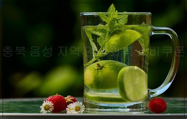 충북 음성 민생회복 소비쿠폰 사용처 총정리