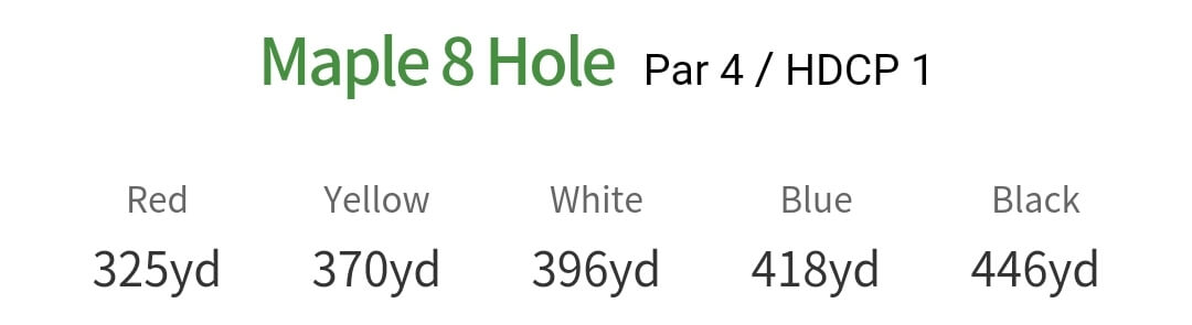 솔모로 컨트리클럽 메이플코스 8