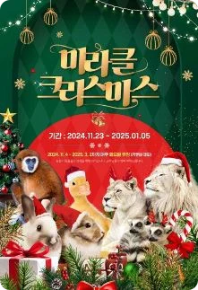 12월 축제 일정표
