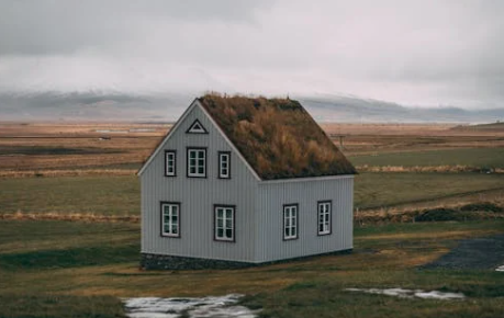 청년 월세 지원금