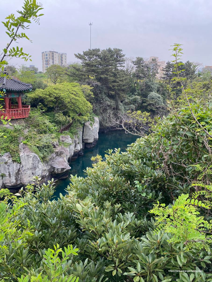 다리 위에서 본 용연계곡
