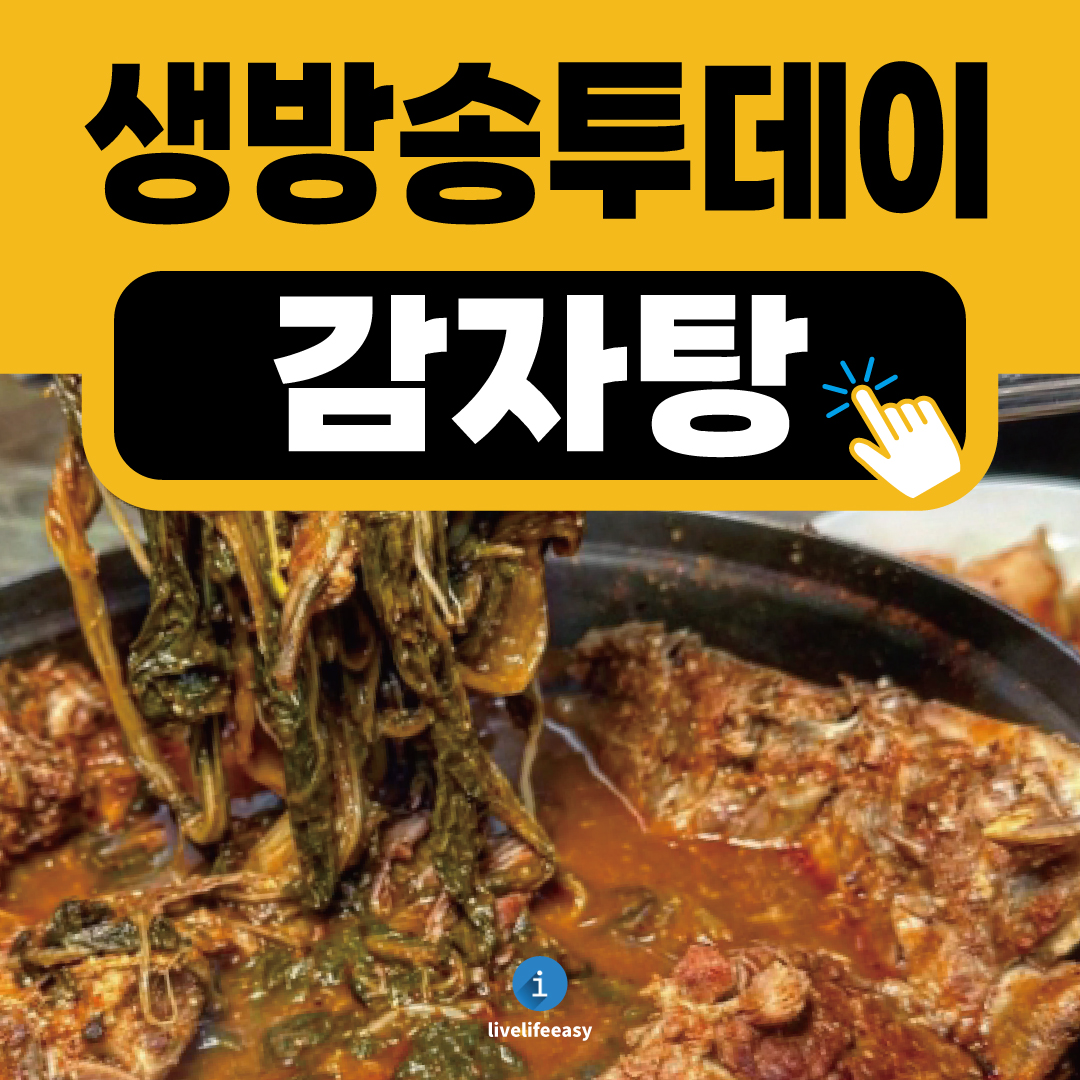 서울 광진구 감자탕 맛집 소개 (생방송 투데이 3604회)