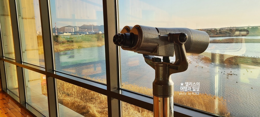 서부산 가볼만한곳 BEST 08 송도 해상케이블카 장림포구 감천문화마을 포함 데이트 가족여행 코스