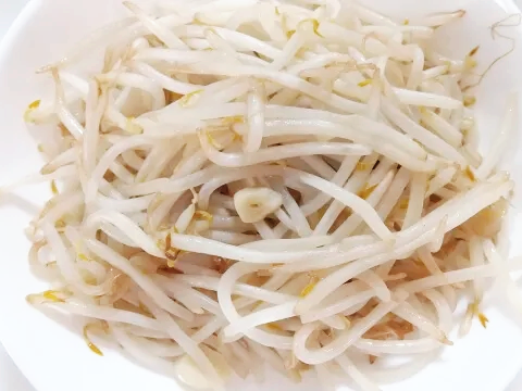 숙주나물과 콩나물 차이
