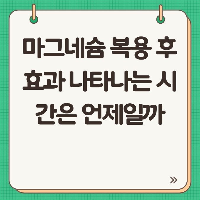 마그네슘 복용 후 효과 나타나는 시간은 언제일까?