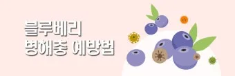 농사 병해충 예방법 진딧물 응애 노균병 탄저병 대처_23