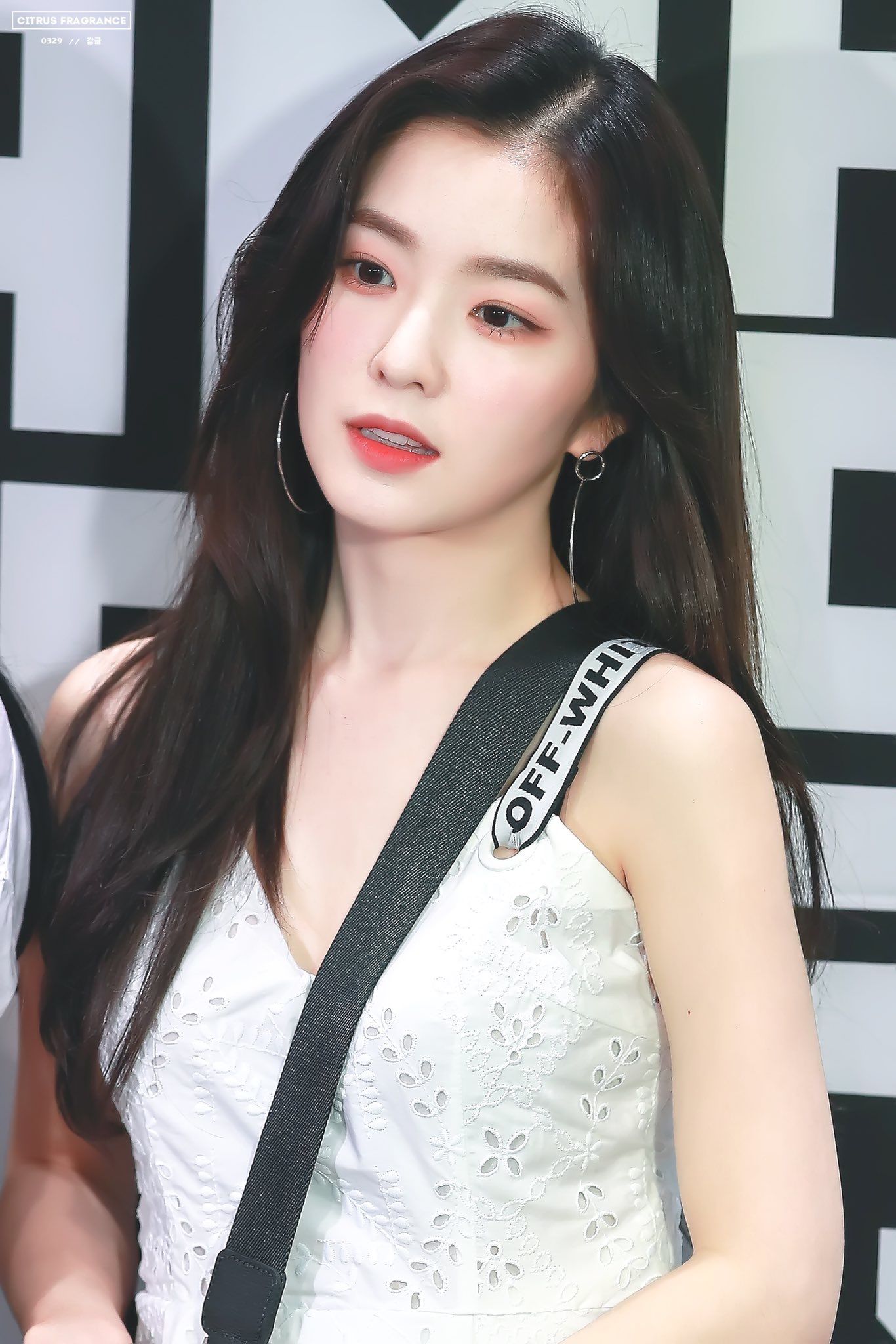 레드벨벳 레벨이 아이린