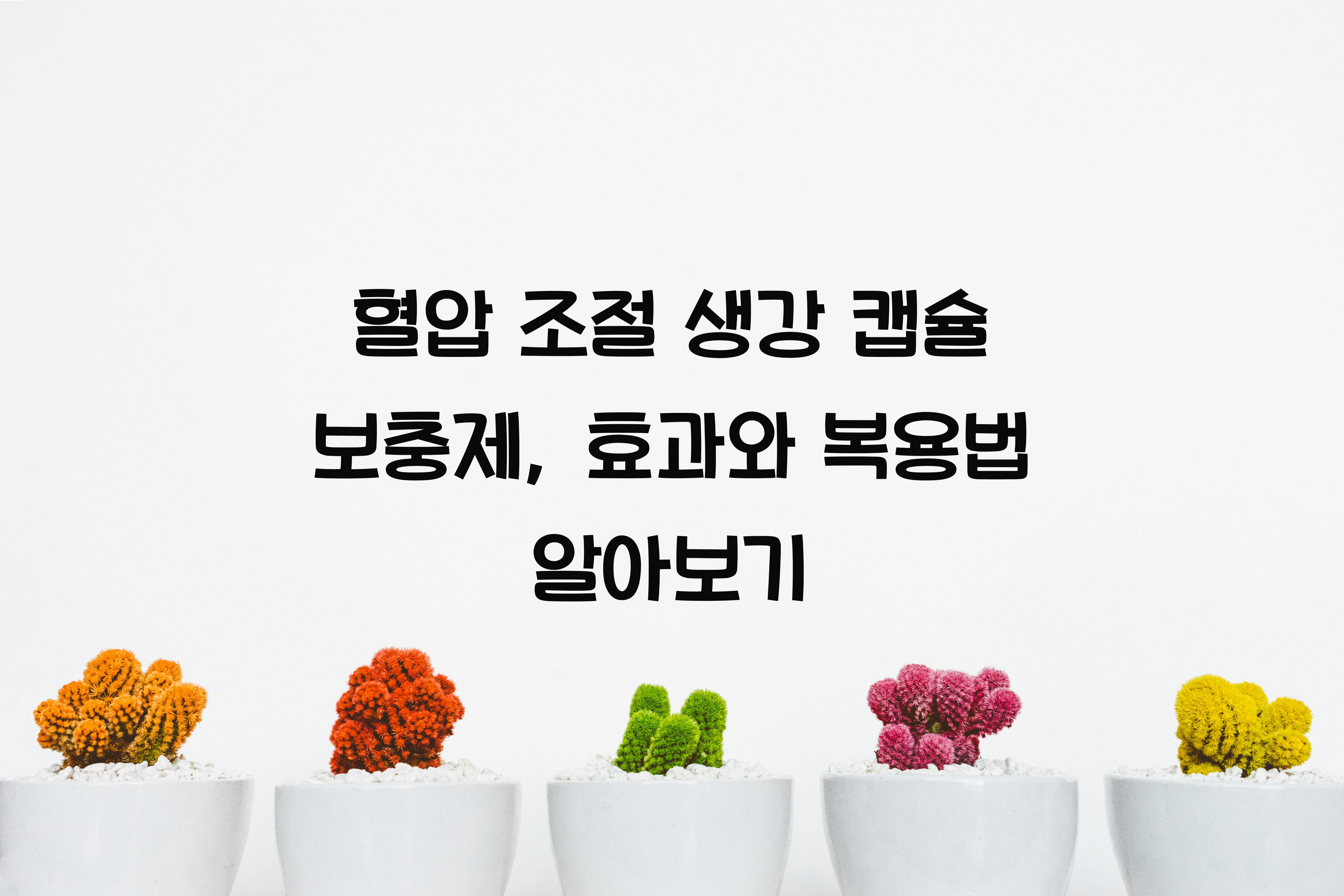혈압 조절 생강 캡슐 보충제