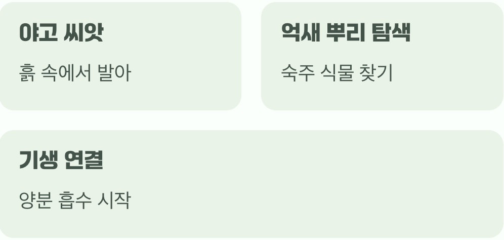 눈에 보이지 않는 연결고리, 기생