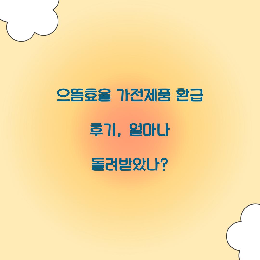 으뜸효율 가전제품 환급 후기, 얼마나 돌려받았나?