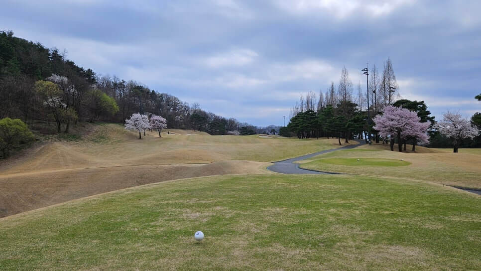골프장 경험담 청주 세레니티cc 단순한 골프장이 아니라&amp;#44; 자연과 설계&amp;#44; 건축이 어우러진 공간 미학의 산물 완벽에 가까운 골프장