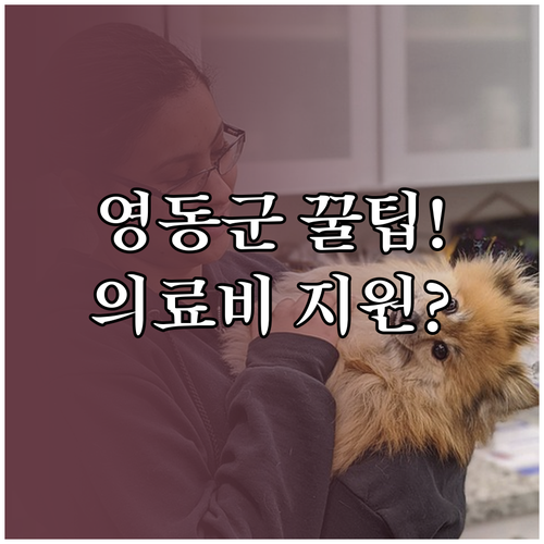 영동군 반려동물 의료비 지원 사업 대..