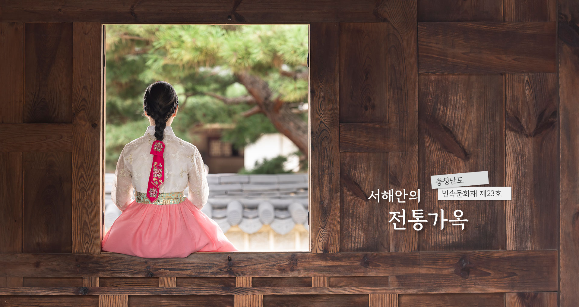 서산 유기방가옥 수선화축제 개화 상황