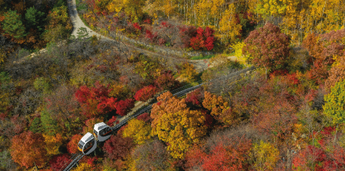 화담숲 모노레일 단풍