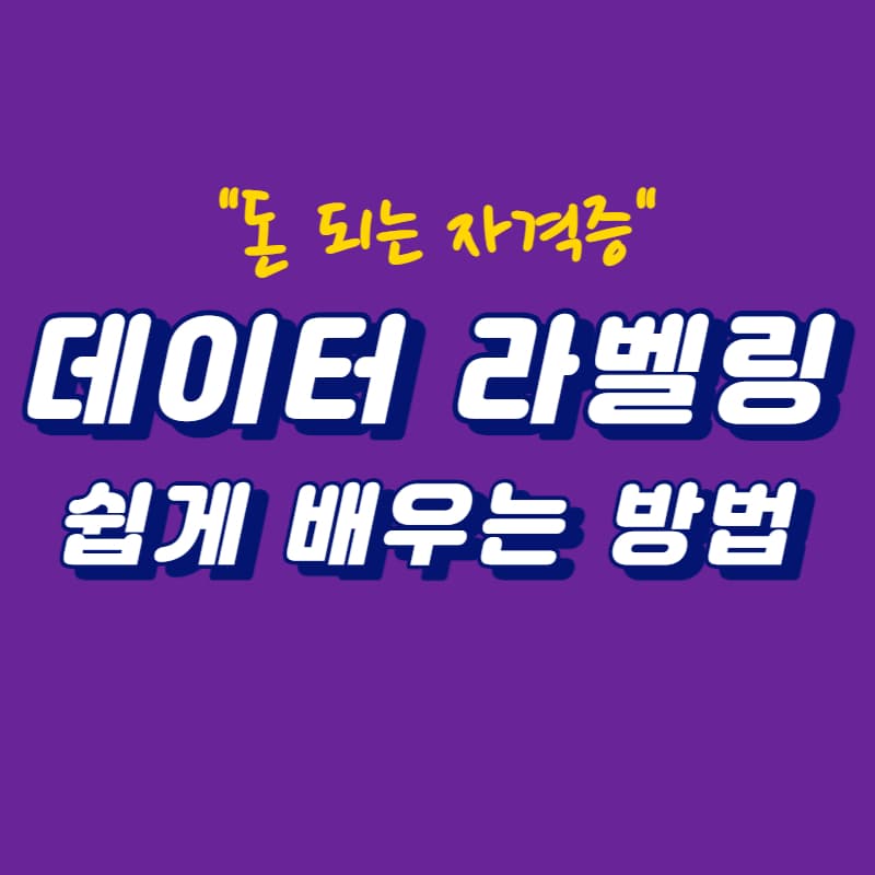 데이터 라벨링 무료로 배우는 방법