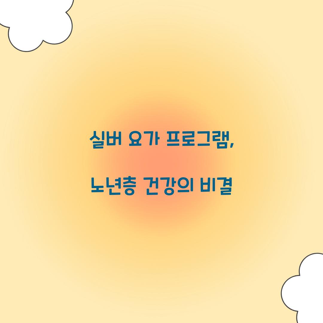 실버 요가 프로그램