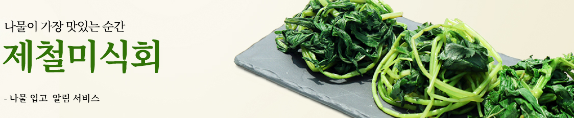생방송투데이 나물구독서비스 제철나물 나물투데이