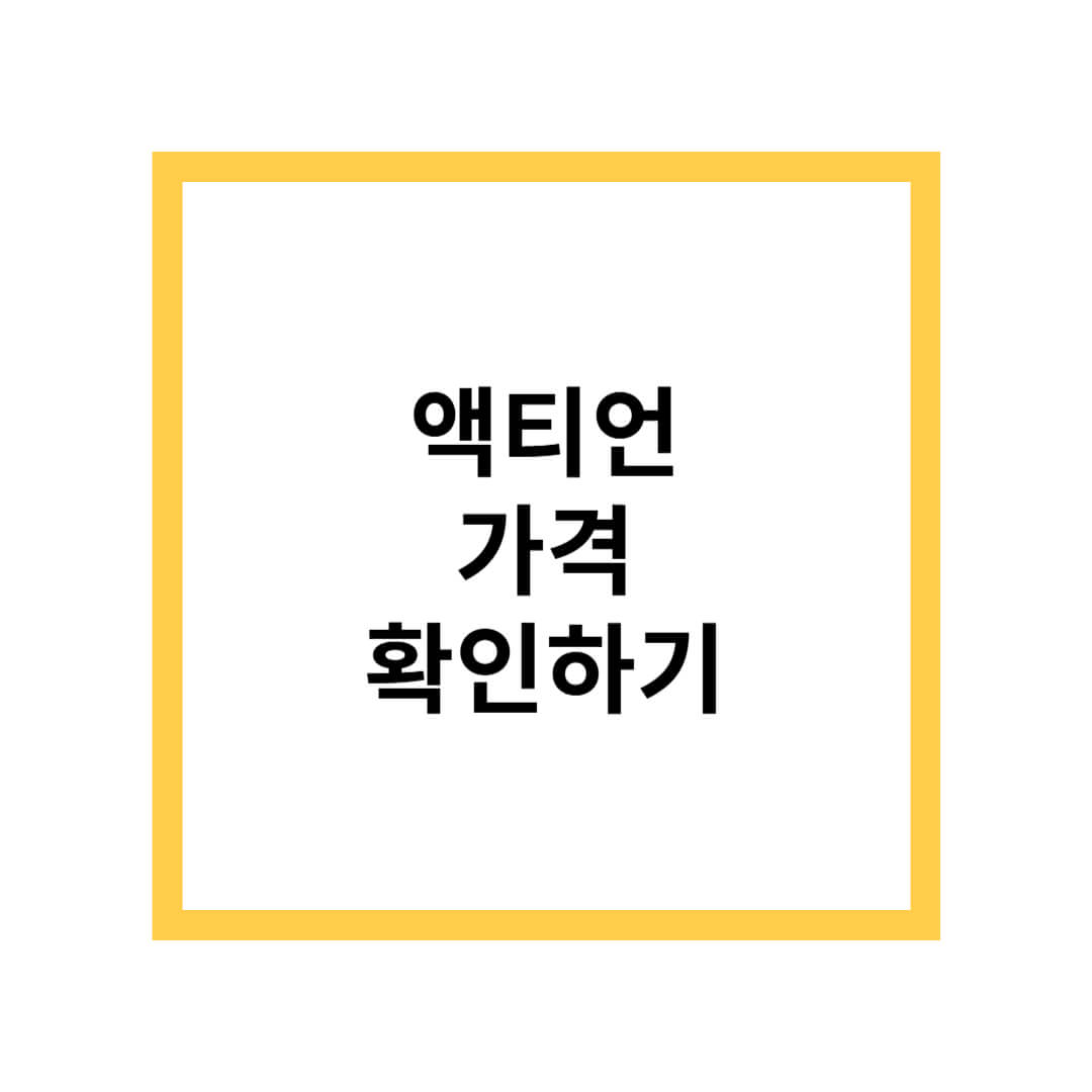 액티언 가격