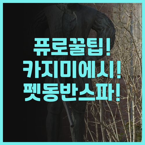 퓨로 크라쿠프 카지미에시 추천, 감성..