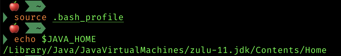 환경변수 확인하기