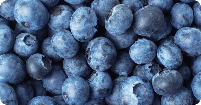 슈퍼푸드 블루베리