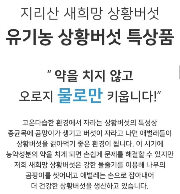 6시내고향-산청-유기농-상황버섯-지리산새희망상황버섯