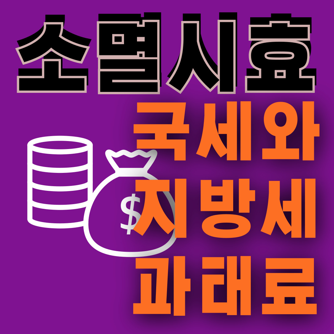 과태료국세지방세소멸시효
