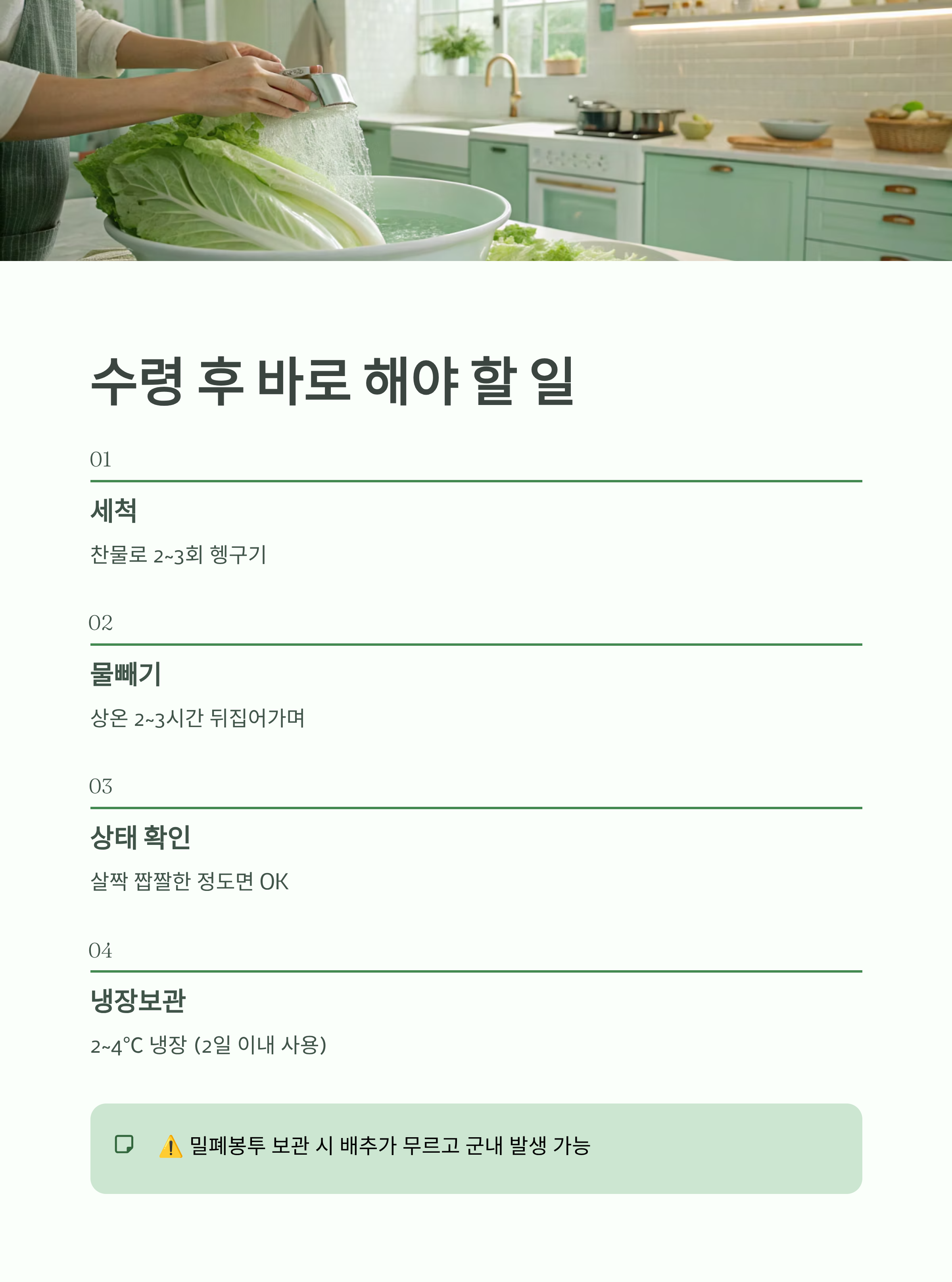 절임배추 10kg 몇 포기? ❘ 2025 절임배추 사전예약 꿀팁 총정리