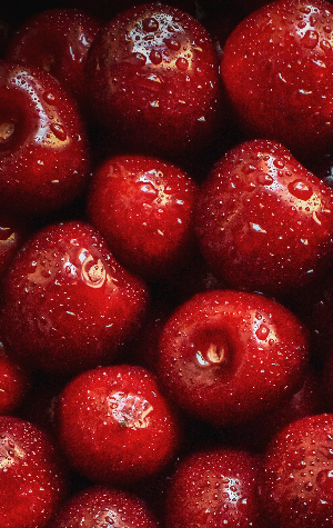 코로나어지러움증