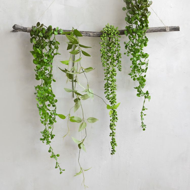 🌱 베란다 플랜테리어 아이디어 ❘ 작은 공간에 생명을 더하는 가장 예쁜 방법