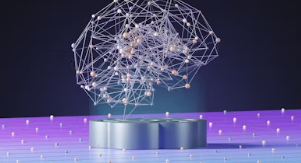 포스파티딜세린 효능 가격 식약처 인증 추천 부작용