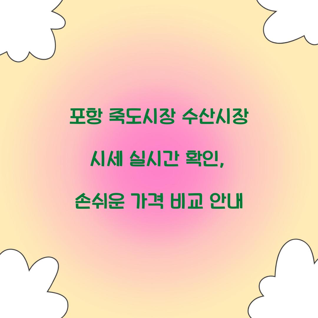 포항 죽도시장 수산시장 시세 실시간 확인