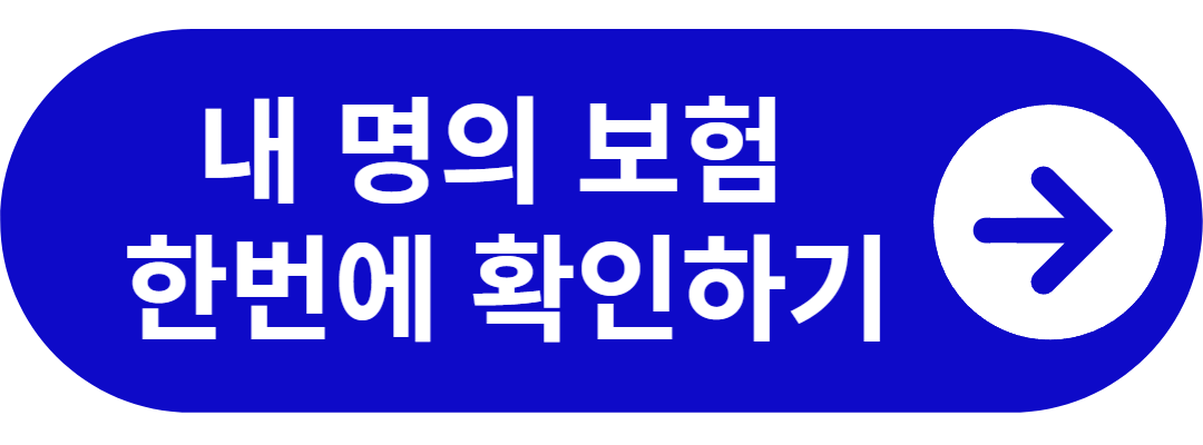 내 명의 보험 찾기 바로가기
