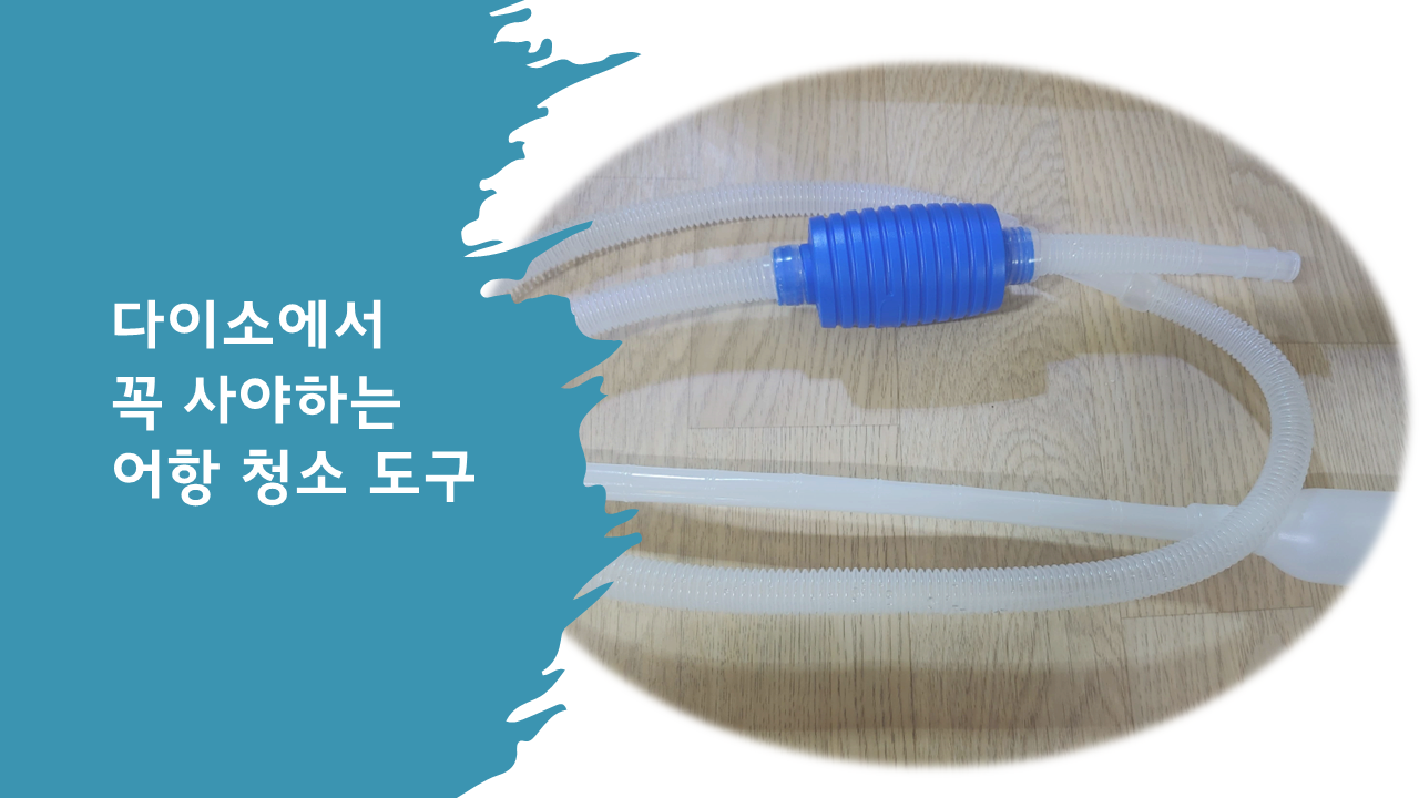 어항 청소 도구