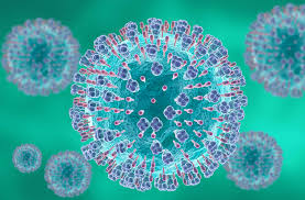 RSV 감염증 단계별 증상