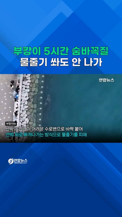 나경원 DMZ 지뢰 결의안 발의