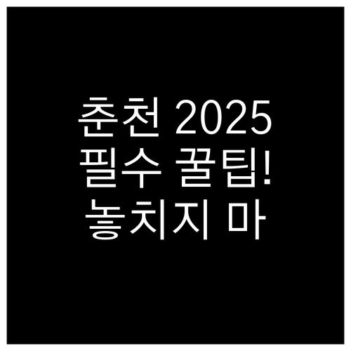 놓치지 마세요: 2025 춘천축제 일..