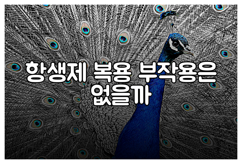 항생제 복용 부작용은 없을까