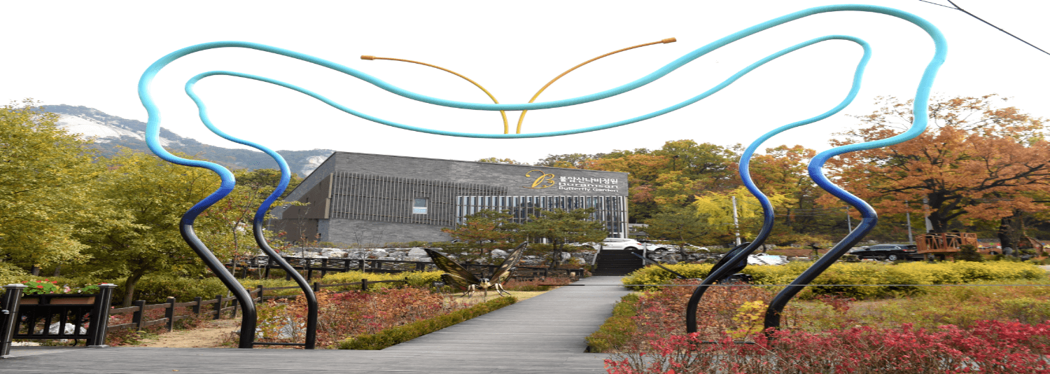 불암산 철쭉 축제