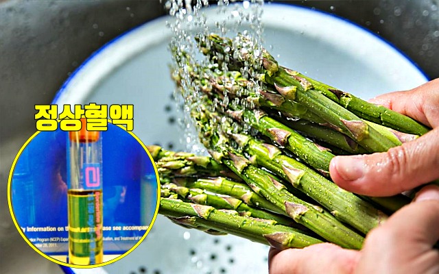 탁해진 피 고지혈증에 좋은 음식 아스파라거스 효능,팁줌