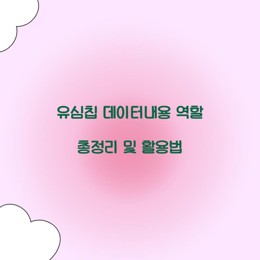 유심칩 데이터내용 역할