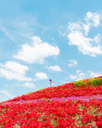 하남 미사 한강공원