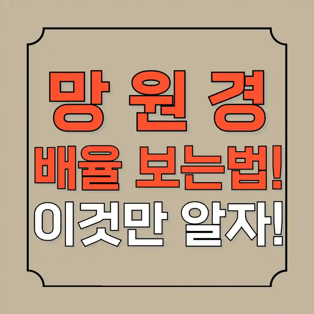 망원경 배율보는법