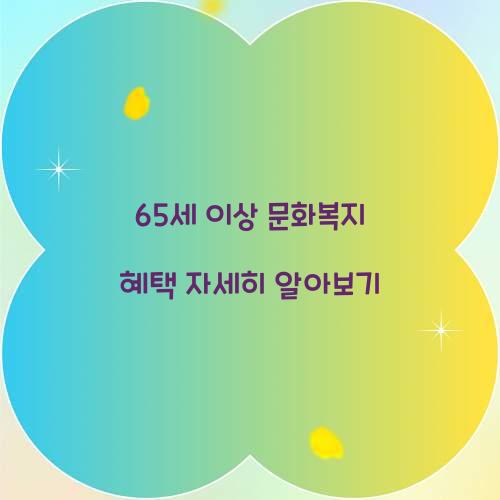 65세 이상 문화복지
