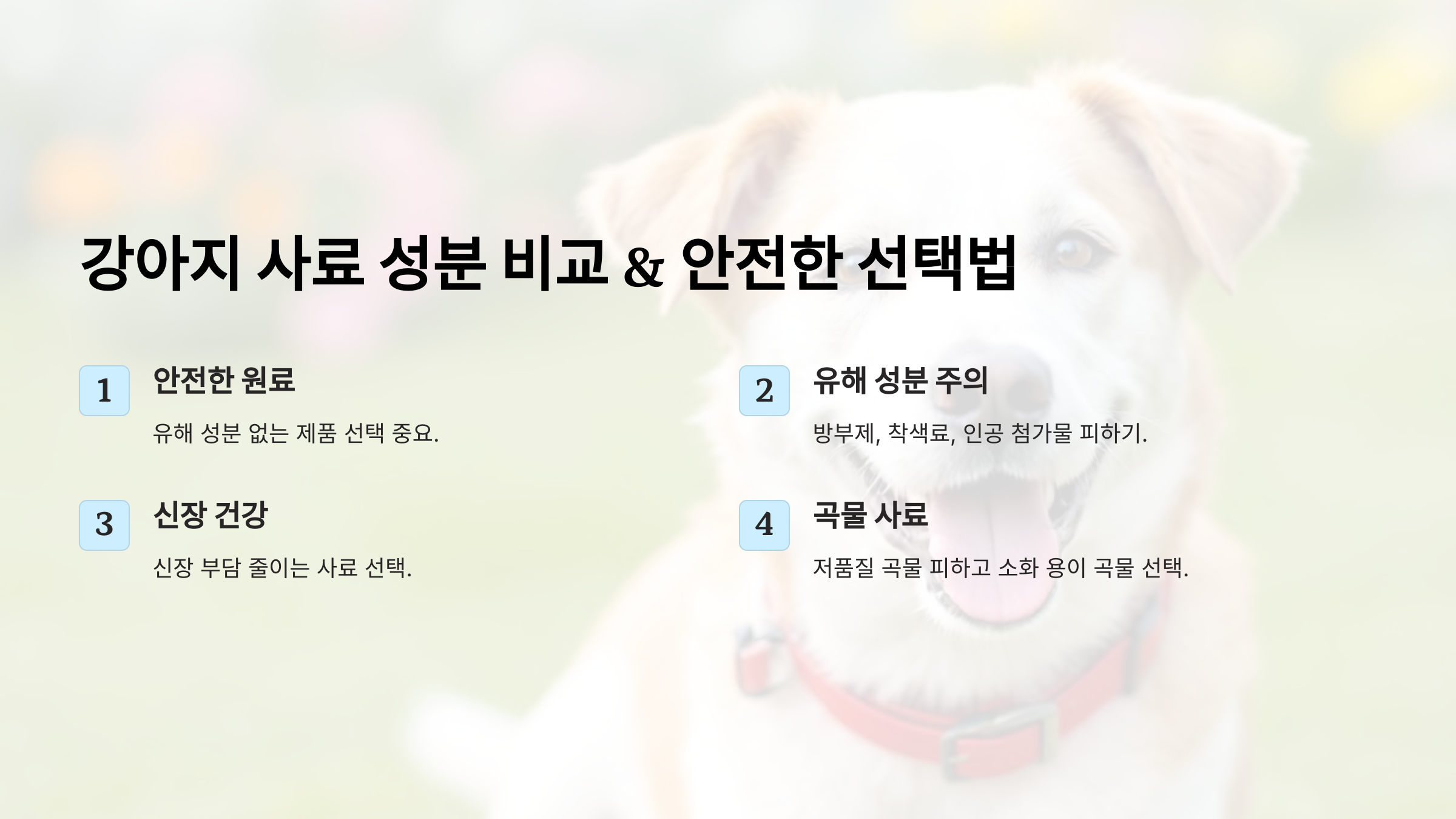강아지 사료 성분 비교 안전한 사료 선택법 & 유해 성분 분석